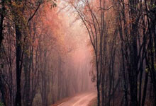 开云平台-全运会 | 刘诗雯与陈梦：三十而已 如诗如梦